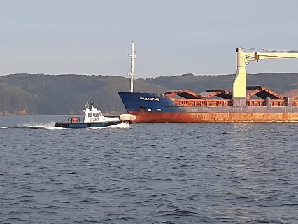 Bulk carrier με πιλοτίνα