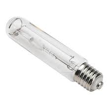 Halogen Lamps