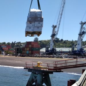 Atenas Ship Service — delivery at Chilean port